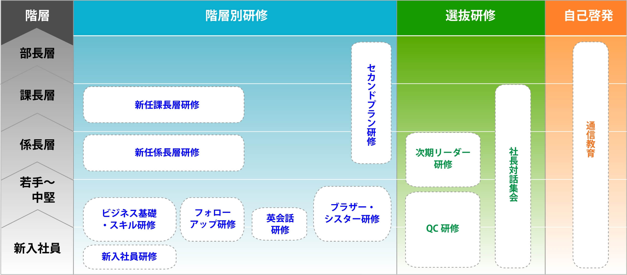 教育研修制度